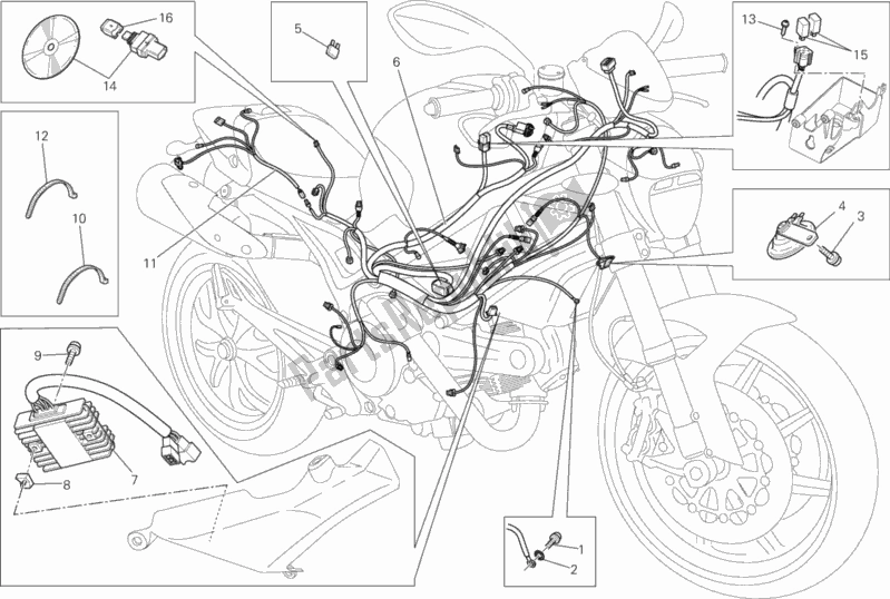 Tutte le parti per il Cablaggio Elettrico del Ducati Monster 796 Thailand 2014